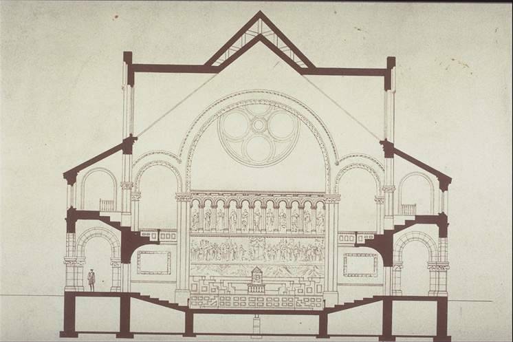 Transverse section (Potter drawing)