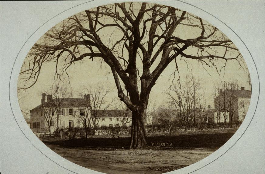 View with Bulletin Elm in foreground (photo before 1861)