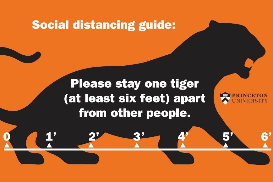 Tiger Distance