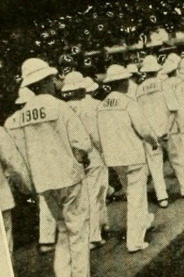 1906.01 lp