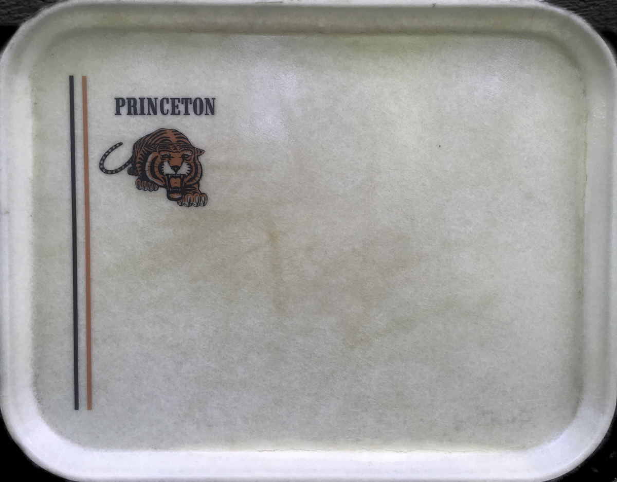 Princeton-logo Sled