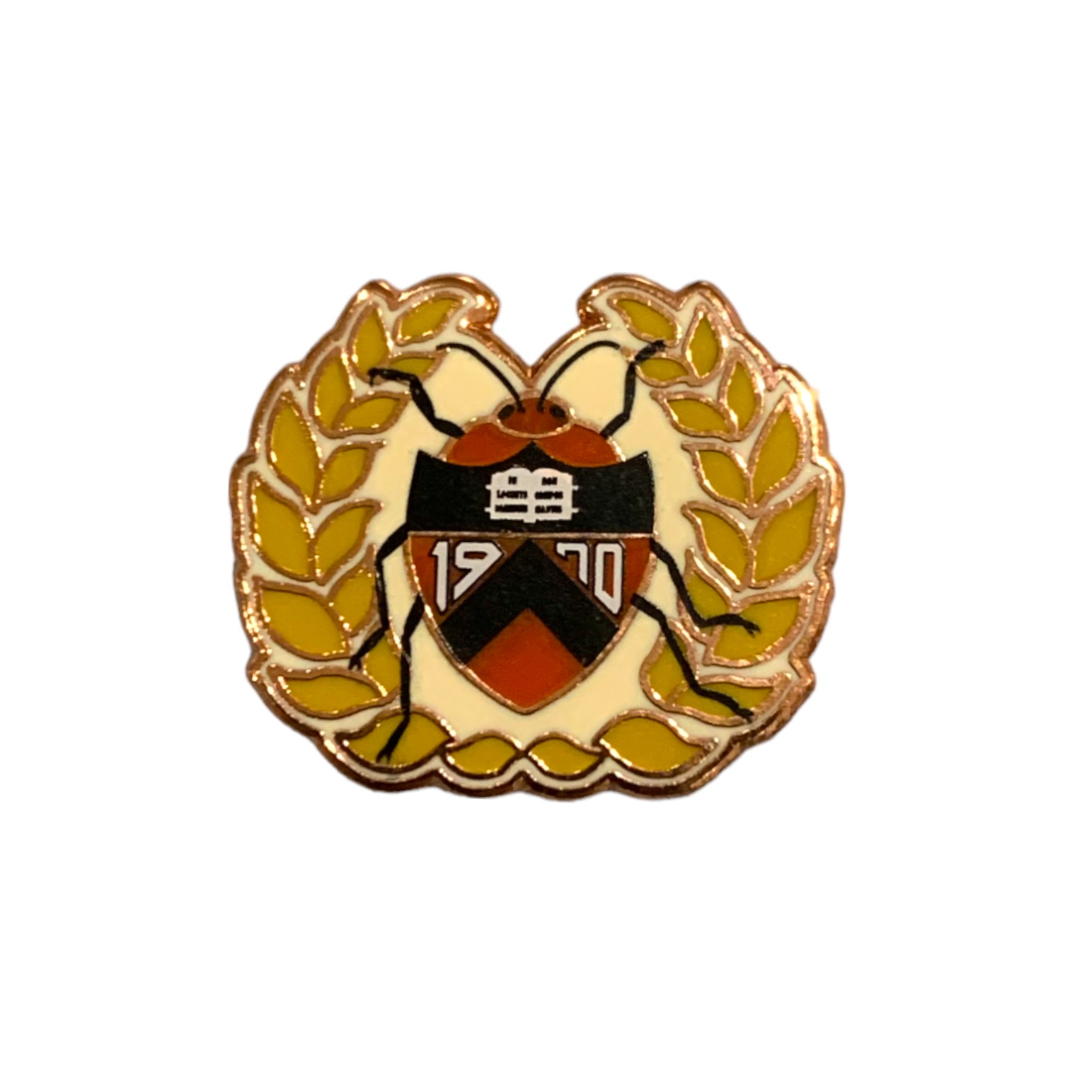 1970 - 30th Reunion Pin