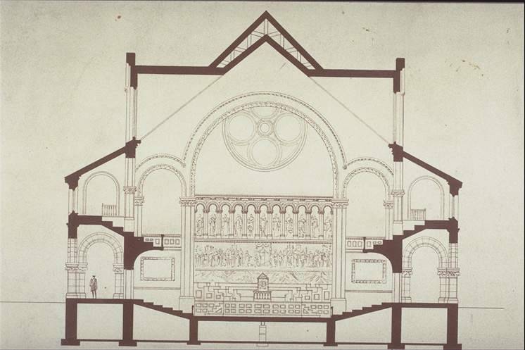 Transverse section (Potter drawing)