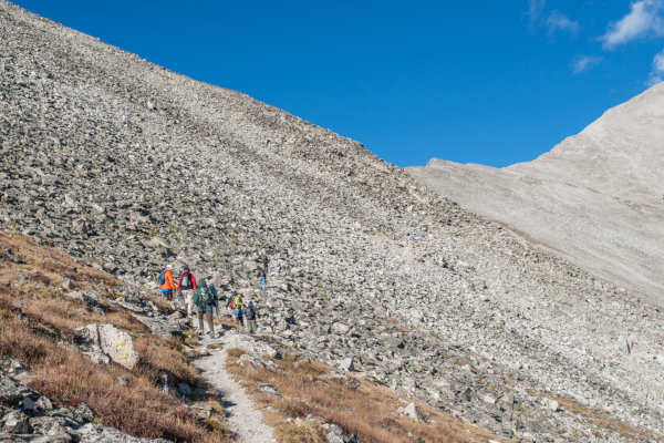 Trail?  I  can't see a trail