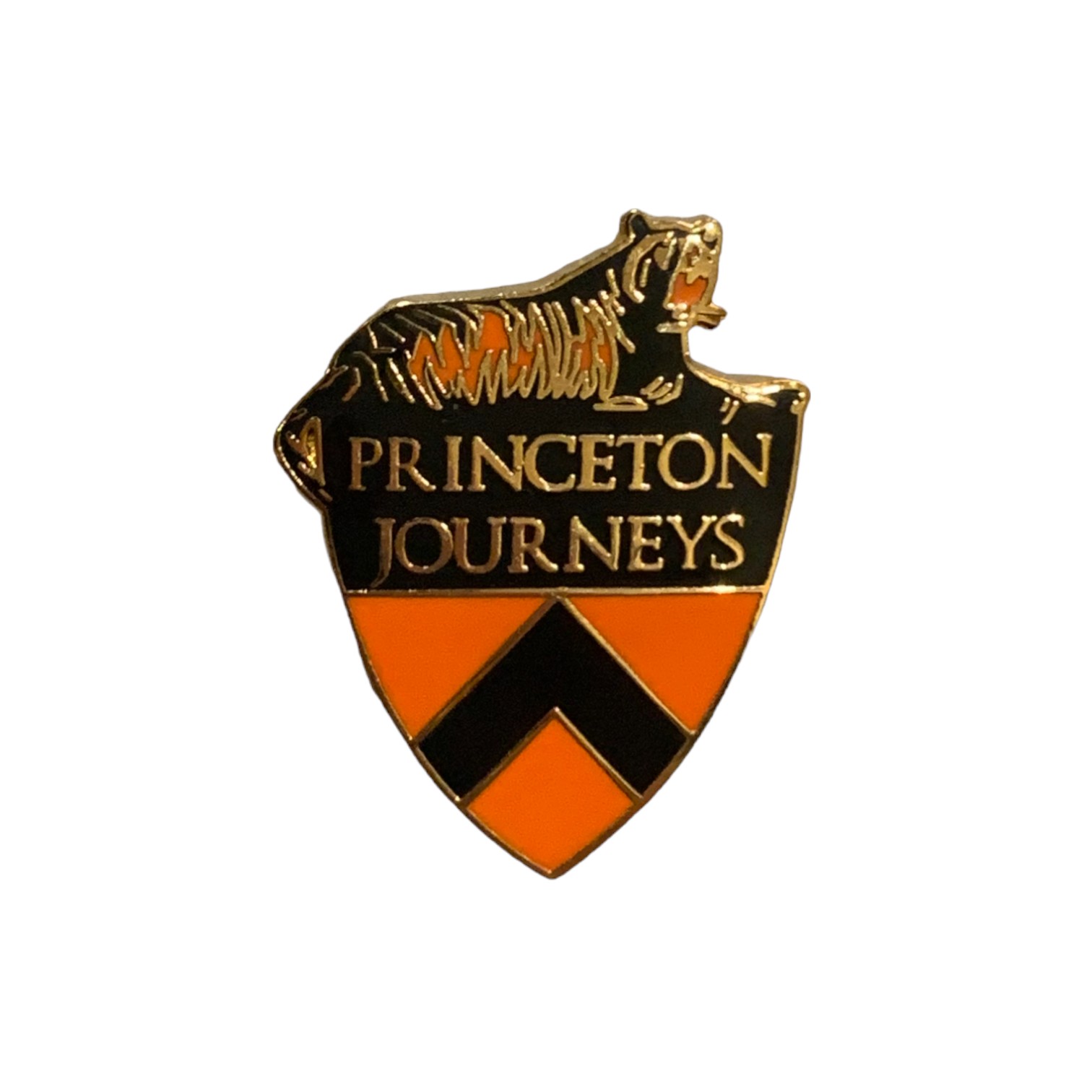 Princeton Journeys Event Alternative Pin